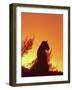 African Lion Silhouette Lions Stir, as the Sun-null-Framed Photographic Print