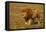 African Lion Stalking-null-Framed Stretched Canvas