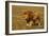 African Lion Stalking-null-Framed Photographic Print