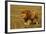 African Lion Stalking-null-Framed Photographic Print