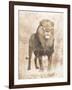 African Lion-Jace Grey-Framed Art Print