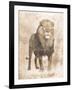 African Lion-Jace Grey-Framed Art Print