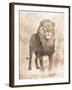 African Lion-Jace Grey-Framed Art Print