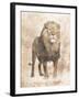 African Lion-Jace Grey-Framed Art Print