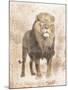 African Lion-Jace Grey-Mounted Art Print