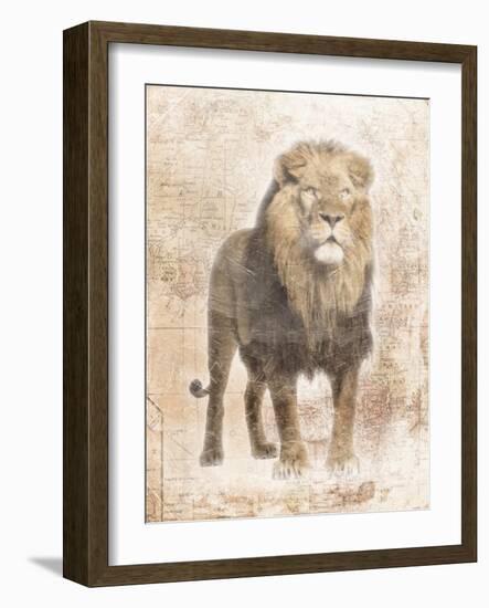 African Lion-Jace Grey-Framed Art Print