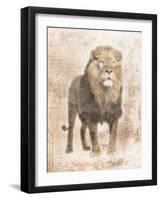 African Lion-Jace Grey-Framed Art Print