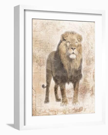 African Lion-Jace Grey-Framed Art Print