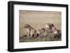 African Lions Resting-Hal Beral-Framed Photographic Print