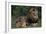 African Lions-DLILLC-Framed Photographic Print