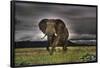 African Majesty, Save Our Planet (Elephant) Art Poster Print-null-Framed Standard Poster