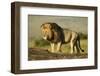 African Male Lion-Mary Ann McDonald-Framed Photographic Print