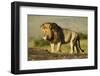 African Male Lion-Mary Ann McDonald-Framed Photographic Print