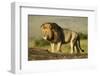 African Male Lion-Mary Ann McDonald-Framed Photographic Print