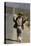 African Man Walks Along Side of Road, Durban, South Africa, 1960-Grey Villet-Stretched Canvas
