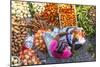 African Market, Assomada, Santiago Island, Cape Verde-Peter Adams-Mounted Photographic Print