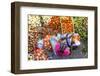 African Market, Assomada, Santiago Island, Cape Verde-Peter Adams-Framed Photographic Print