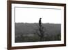 African Meerkat-Bob Langrish-Framed Photographic Print