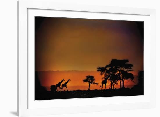 African Moonglow-Bobbie Goodrich-Framed Giclee Print