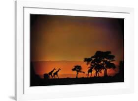 African Moonglow-Bobbie Goodrich-Framed Giclee Print