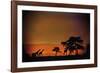 African Moonglow-Bobbie Goodrich-Framed Giclee Print