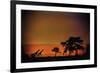 African Moonglow-Bobbie Goodrich-Framed Giclee Print