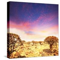 African Mountains-Andrushko Galyna-Stretched Canvas