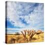 African Mountains-Andrushko Galyna-Stretched Canvas