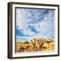 African Mountains-Andrushko Galyna-Framed Photographic Print