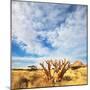 African Mountains-Andrushko Galyna-Mounted Photographic Print