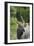 African Nyala 01-Bob Langrish-Framed Photographic Print