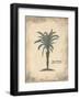 African Oil Palm-Annabel Hewitt-Framed Art Print