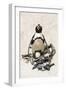 African Penguin Sitting on an Egg (Jackass Penguin), Foxy Beach, Boulders Beach National Park-Kimberly Walker-Framed Photographic Print