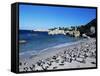African Penguins at Boulder Beach in Simon's Town, Near Cape Town, South Africa, Africa-Yadid Levy-Framed Stretched Canvas