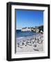 African Penguins at Boulder Beach in Simon's Town, Near Cape Town, South Africa, Africa-Yadid Levy-Framed Premium Photographic Print