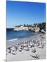 African Penguins at Boulder Beach in Simon's Town, Near Cape Town, South Africa, Africa-Yadid Levy-Mounted Photographic Print