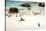 African Penguins at Foxy Beach, Boulders Beach National Park, Simonstown, South Africa, Africa-Kimberly Walker-Stretched Canvas