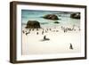 African Penguins at Foxy Beach, Boulders Beach National Park, Simonstown, South Africa, Africa-Kimberly Walker-Framed Photographic Print