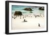 African Penguins at Foxy Beach, Boulders Beach National Park, Simonstown, South Africa, Africa-Kimberly Walker-Framed Photographic Print