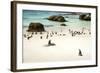 African Penguins at Foxy Beach, Boulders Beach National Park, Simonstown, South Africa, Africa-Kimberly Walker-Framed Photographic Print