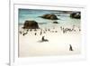 African Penguins at Foxy Beach, Boulders Beach National Park, Simonstown, South Africa, Africa-Kimberly Walker-Framed Photographic Print