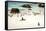 African Penguins at Foxy Beach, Boulders Beach National Park, Simonstown, South Africa, Africa-Kimberly Walker-Framed Stretched Canvas