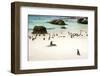 African Penguins at Foxy Beach, Boulders Beach National Park, Simonstown, South Africa, Africa-Kimberly Walker-Framed Photographic Print