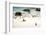 African Penguins at Foxy Beach, Boulders Beach National Park, Simonstown, South Africa, Africa-Kimberly Walker-Framed Photographic Print