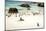 African Penguins at Foxy Beach, Boulders Beach National Park, Simonstown, South Africa, Africa-Kimberly Walker-Mounted Photographic Print