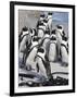 African Penguins (Spheniscus Demersus), Table Mountain National Park, Cape Town, South Africa-Ann & Steve Toon-Framed Photographic Print