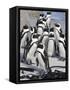 African Penguins (Spheniscus Demersus), Table Mountain National Park, Cape Town, South Africa-Ann & Steve Toon-Framed Stretched Canvas