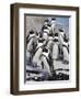 African Penguins (Spheniscus Demersus), Table Mountain National Park, Cape Town, South Africa-Ann & Steve Toon-Framed Photographic Print