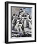 African Penguins (Spheniscus Demersus), Table Mountain National Park, Cape Town, South Africa-Ann & Steve Toon-Framed Photographic Print