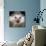 African Pygmy Hedgehog-null-Mounted Photographic Print displayed on a wall